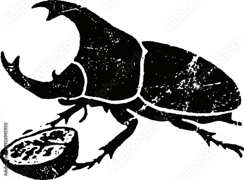 hercules beetle illustration with cut open fruit, black silhouette vector drawing