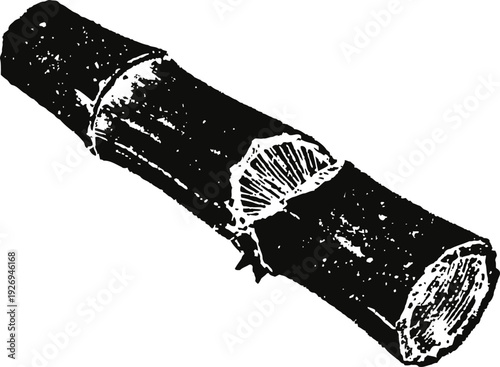 Vintage black and white illustration of a bamboo stick segment with texture and natural details