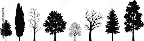 Set of various tree silhouettes including pine, oak, cypress, and leafless winter trees, isolated black forest elements on white background.