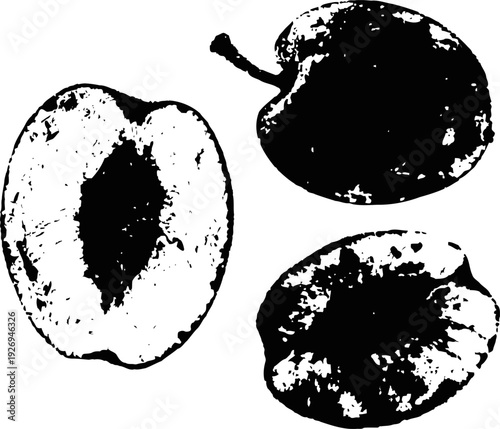 Black and white illustration of whole and halved plums with pits and stem
