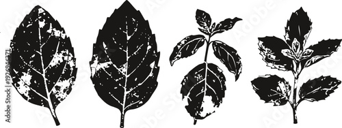 black and white leaf silhouettes set, detailed foliage shapes isolated on white background