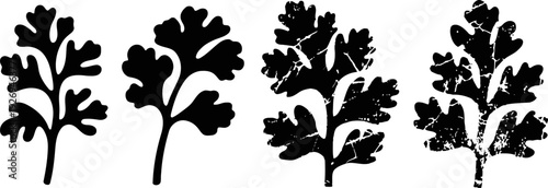 four black silhouette parsley leaves in various styles isolated on white background