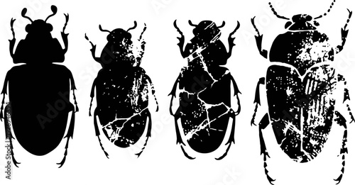grunge beetle silhouettes set insect collection with distressed texture, vintage black bug shapes