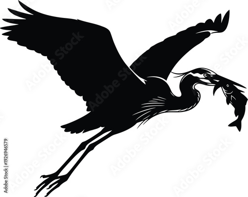 Black silhouette of a heron flying with a fish in its beak outdoors