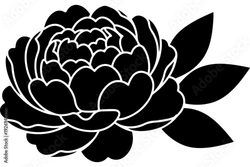 Elegant Black and White Botanical Flower Illustration