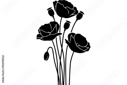 Elegant Black Poppy Flowers Vector Illustration