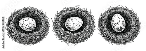 Bird Nests with Eggs Hand Drawn Vector Illustration