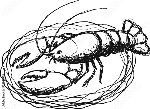 Hand drawn lobster sketch with detailed claws and antennae in black ink illustration