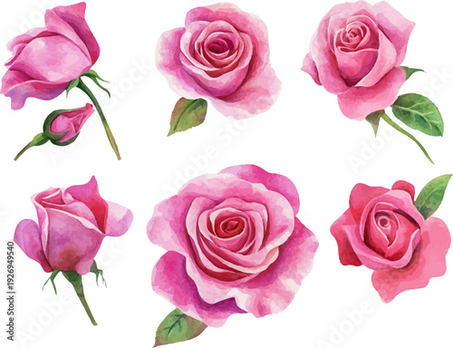 Wallpaper Mural set of pink roses Torontodigital.ca