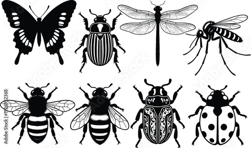 Insect silhouette vector set, butterfly beetle dragonfly mosquito bee ladybug black isolated collection, detailed bug icons for logo design and tattoo art