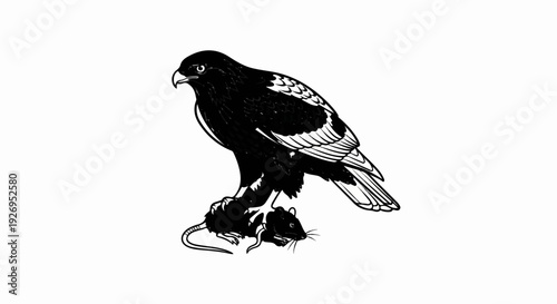 Black bird of prey with outstretched claws gripping a small rodent