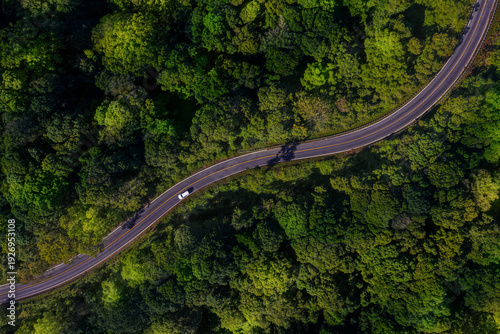Forest road, road in beautiful autumn forest at sunset, trees with red and orange leaves, Beautiful landscape view from flying drone in Nature, Rainforest ecosystem, electric car driving, EV green