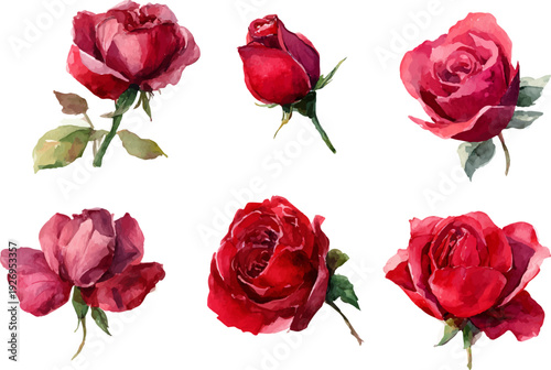 Wallpaper Mural set of red roses isolated Torontodigital.ca