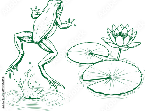 A green illustration of a frog jumping from water near a lily pad. Vector, illustration