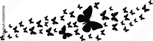 Butterfly silhouette swarm composition, flying black butterflies isolated on white background decorative nature vector illustration design element