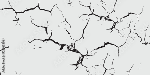 Abstract minimalist black and white cracked texture with bold lines.