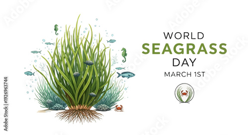 Seagrass with Fish and Marine Life Illustration.