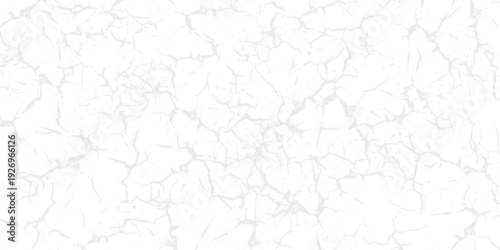 Abstract white subtle cracked texture with elegant minimal veins.