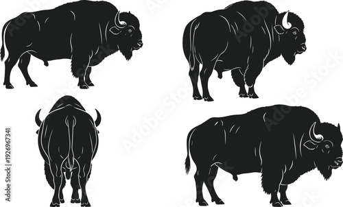 Detailed black silhouette vector set of American bison buffalo from side and rear views isolated on white background for wildlife and nature design