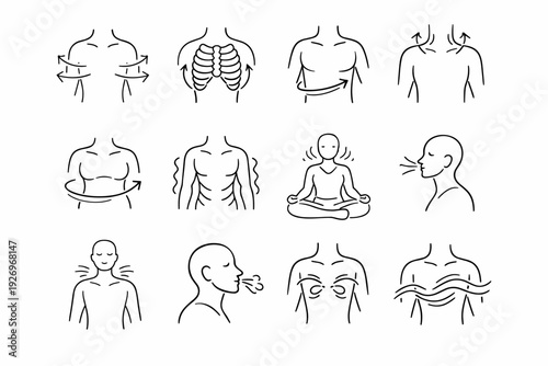 Inhale arc rib generation image icon vector simple human torso organic expansion