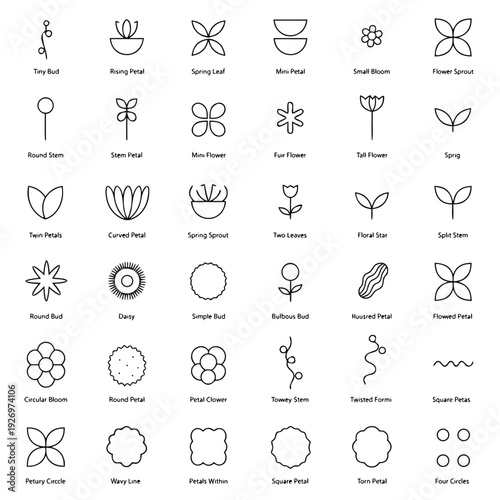 Collection of simple line representing various floral and botanical shapes for purposes Keywords: flower leaf bud petal stem