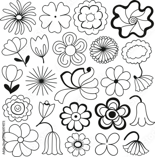 Assortment of hand-drawn outline of diverse flower shapes and botanical on a white background Keywords: flower outline, botanical