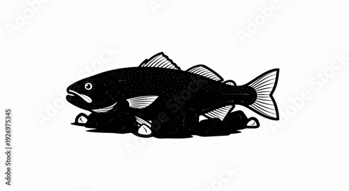 Detailed ink illustration of a black fish resting on rocks