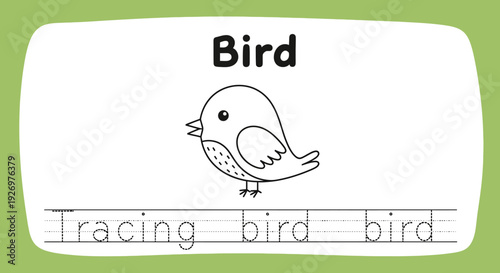 Bird Tracing Worksheet for Kids