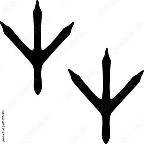 Hen or Cock Footprints Path Graphic Silhouette Vector in Black isolated on White Background