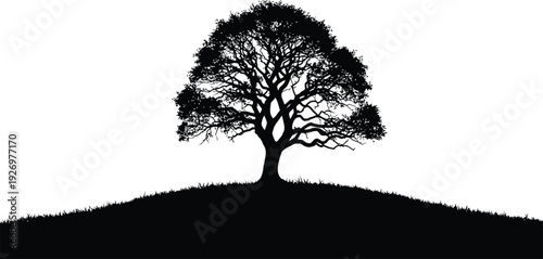 A lone tree silhouette on a hill against a white background