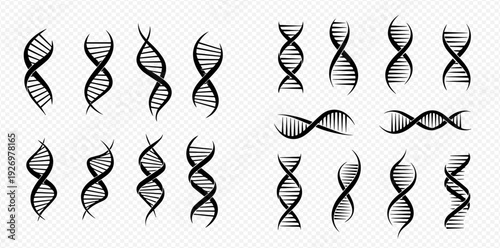 Set of various DNA helix structures in black and white, representing genetics and scientific research.