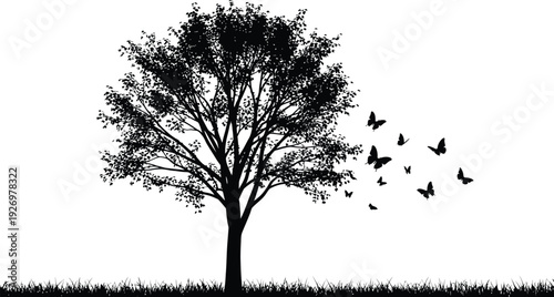 Silhouette of a tree with birds flying away