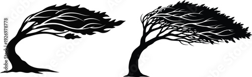 Two trees silhouettes in windy weather