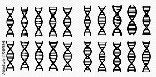 Set of hand-drawn DNA helix structures representing genetics, biology, and medical research.