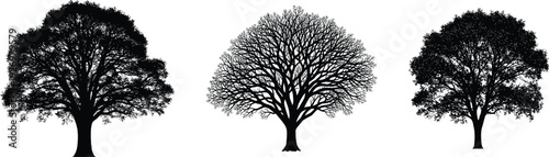 Three black silhouette trees on white background