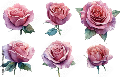 Wallpaper Mural set of pink roses Torontodigital.ca