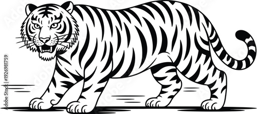 A black and white illustration of a tiger in a powerful stance
