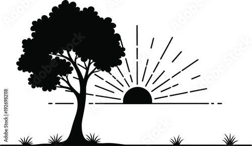 Silhouette of a tree at sunrise