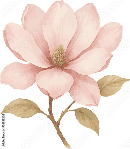 Vector watercolor illustration of a magnolia flower