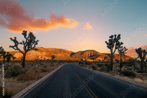 Photography A scenic view of the Joshua Tree National Park during sunset, California, USA