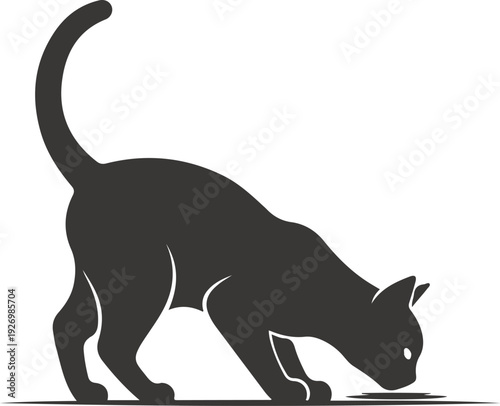 A black cat silhouette in a crouching position with its tail raised.