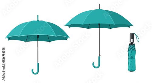 Two teal umbrellas and a water bottle displayed against a plain background isolated on transparent background, Vector