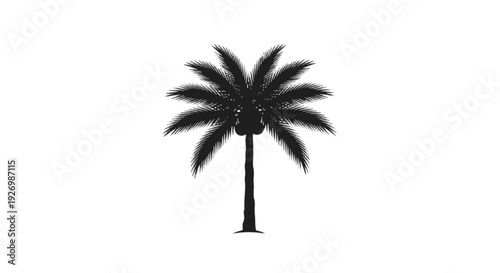 A sleek black silhouette of a palm tree against a plain background isolated on transparent background, Vector
