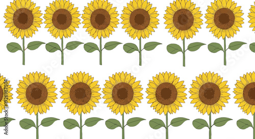 Vibrant sunflower pattern arranged in a grid layout with green stems and leaves isolated on transparent background, Vector
