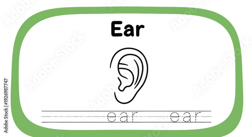 Ear tracing worksheet for kids learning