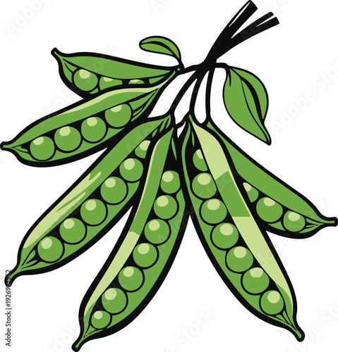 Minimalist frozen green peas cluster vector sticker, bold black thick clean outline, pure white background, isolated object 1