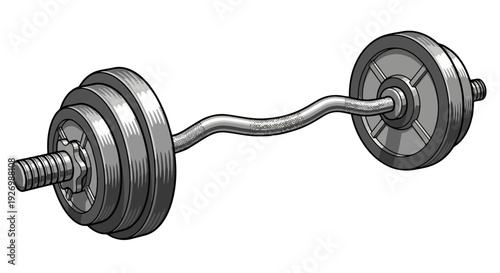 A barbell with adjustable weight plates used for strength training exercises. isolated on transparent background, Vector