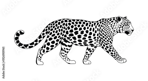 A striking black and white illustration depicts a leopard in motion showcasing its spotted coat a bold silhouette high quality professional detailed