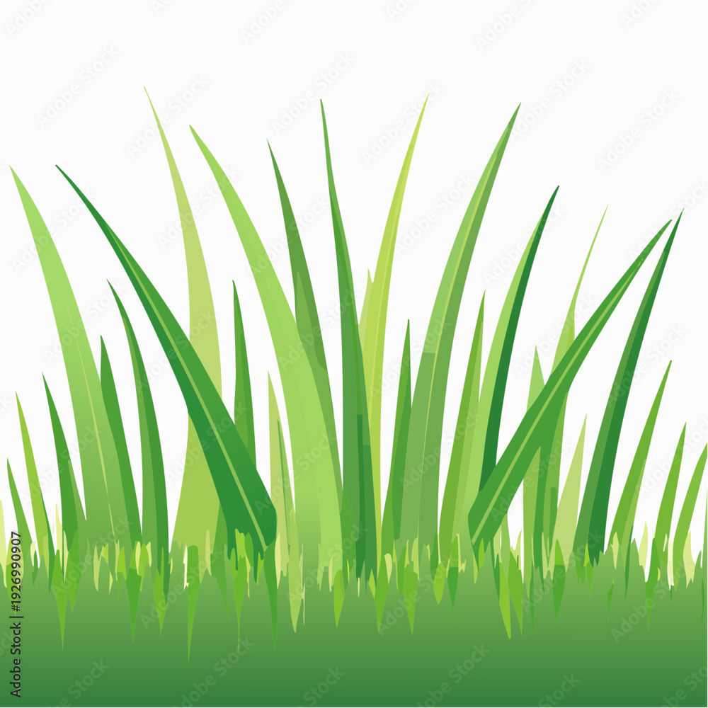 Fototapeta premium Fresh green grass patch isolated on a white background for spring or summer design