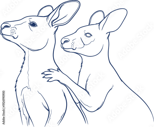 A sketch of two rabbits standing together